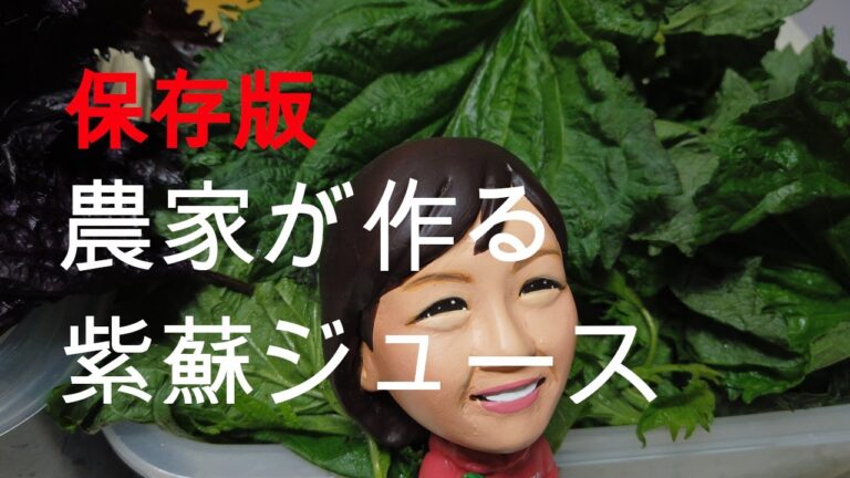 保存版農家が作る紫蘇ジュースの作り方