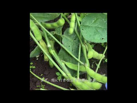 農家の美味しいレシピ　枝豆　塩茹編