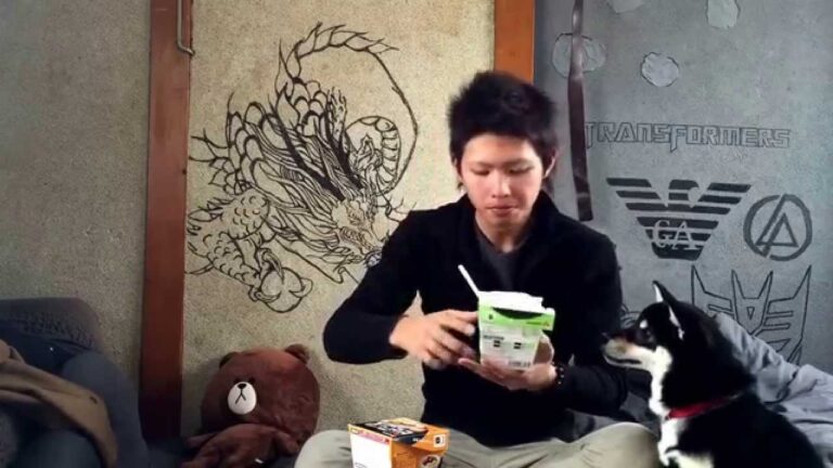 NONGSHIM レンジで簡単ごはん!プルコギ&ビビンバ!