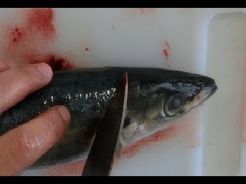 鯵の刺身とムニエル