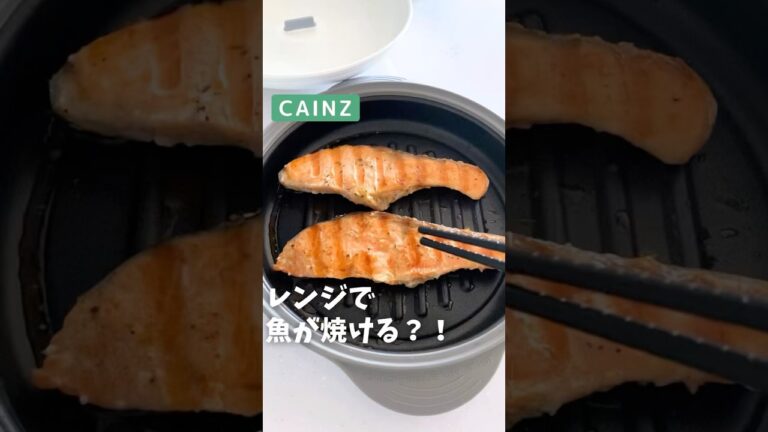 【カインズ】レンジで魚が焼けるCOPAN