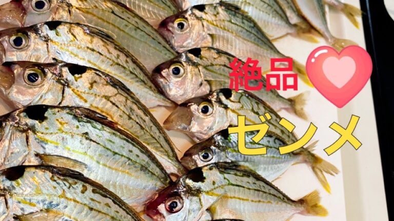 【酒のつまみ！】激安ゼンメを捌いて煮付けにしてみた🐟