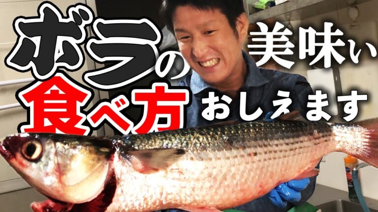 【旬の魚は本物】ボラの美味しさを伝えたい