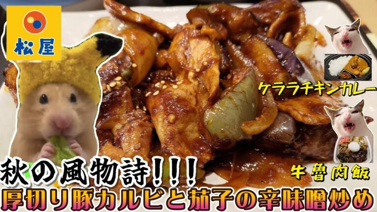【猫ミーム】松屋の厚切り豚カルビと茄子の辛味噌炒めを食べてきました～♪（#猫ミーム　#猫マニ　#catmeme）（2025/10月中旬）