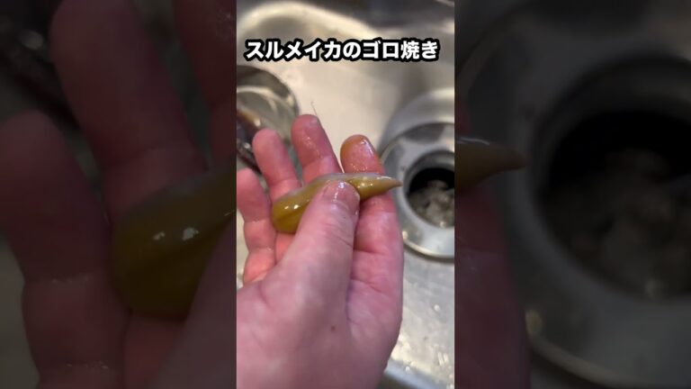 【スルメイカのゴロ焼き】#簡単調理で酒のあて#料理 #スルメイカ#ゴロ焼き#酒のあて#魚の調理法 #捌き方 #cooking #japanesefood #魚猫助