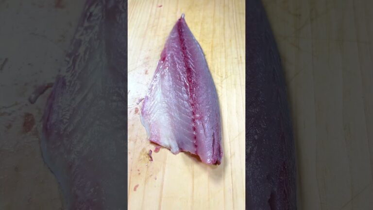 博多んごまさば #shorts #ゴマサバ #mackerel