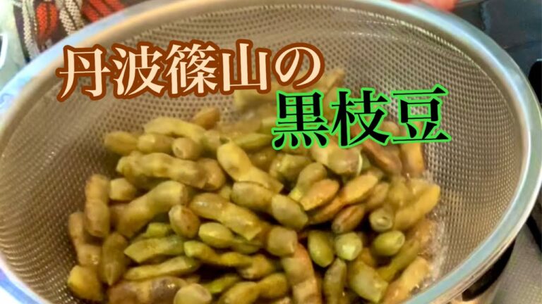 今しか食べれない丹波篠山の黒枝豆！