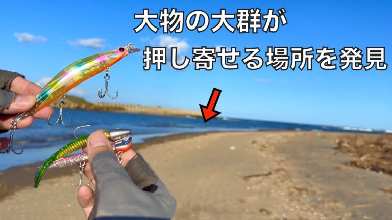 大物群れる「天然の釣り堀状態」の海にいろんなルアーを投げてみると‥