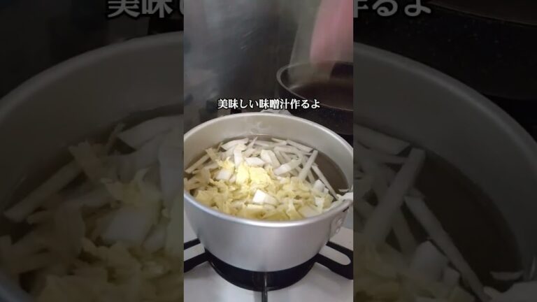白菜としょうがと大根とネギの味噌汁を作ったよ