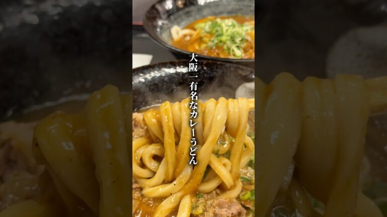 【大阪で一番有名なカレーうどん】「森ノ宮駅から徒歩すぐ」📍得正 #大阪グルメ #大阪ランチ #森ノ宮グルメ #osakafood