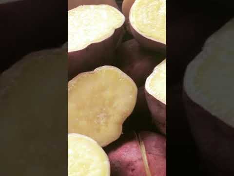 後藤さんの金時芋使用！手作りスイートポテト大福♡