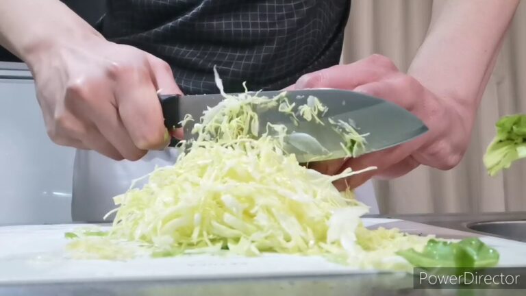 キャベツの千切り 80日目 うまたれキャベツ