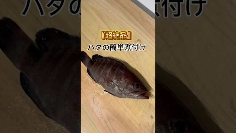 簡単ハタの煮付けの作り方　　　　　　#魚 #料理 #簡単レシピ #釣り #作り方