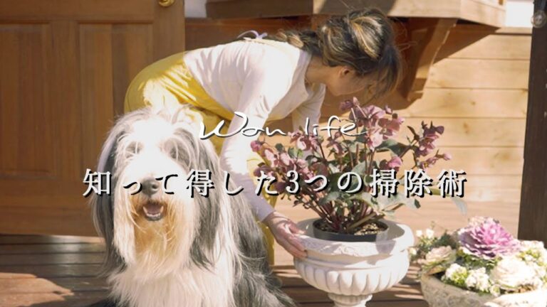 【60代主婦 田舎暮らしvlog】｜古民家 見て見ぬふりをしていた掃除ストレスの話｜手作りドライフルーツと🍓🥝🍌🍊美味しい食べ方