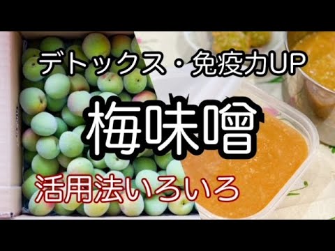 【梅味噌の作り方】梅仕事　デトックス・整腸作用・免疫力アップに　How to make Ume miso Japanese natural food cooking fermented