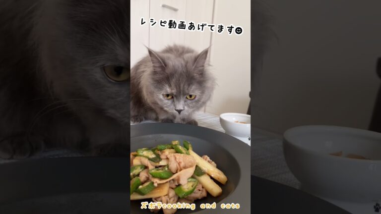 長芋とオクラの甘辛醤油炒めwith cats #shorts
