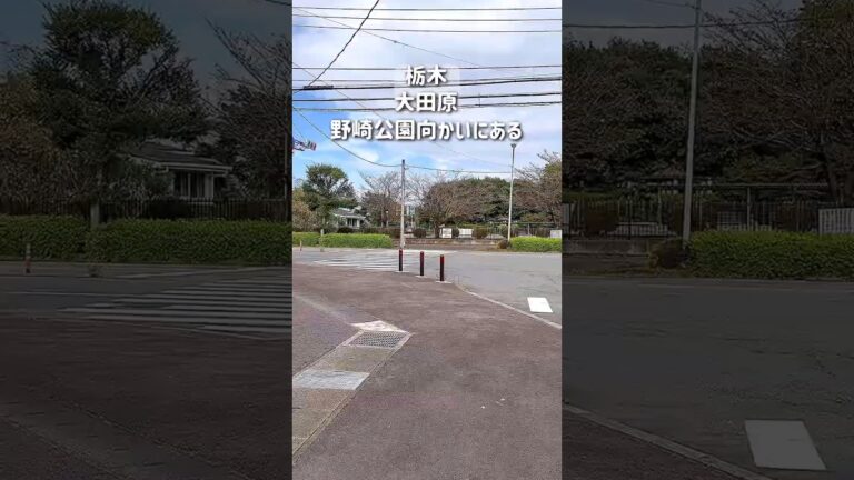 お蕎麦屋さんの絶品天ぷら