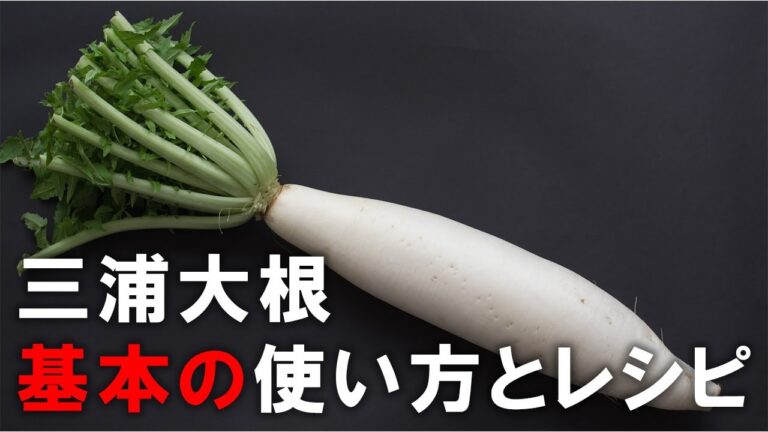 【三浦大根 基本の使い方とレシピ】煮る、炒める、生と使い方は無限! すごいポテンシャルの大根の基本の使い方とおいしさが際立つ５つのお料理。三浦大根を見つけたら1本丸ごと買うのが正解!