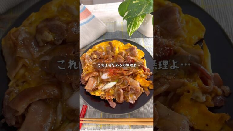 ご飯にのせても最強！ネギ豚卵とじ炒め