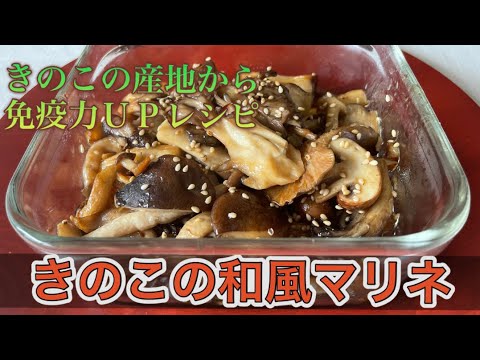 きのこ生産量日本一から免疫力ＵＰのきのこレシピ！アレンジ自在ダイエットにも#料理 #きのこ #作り置き