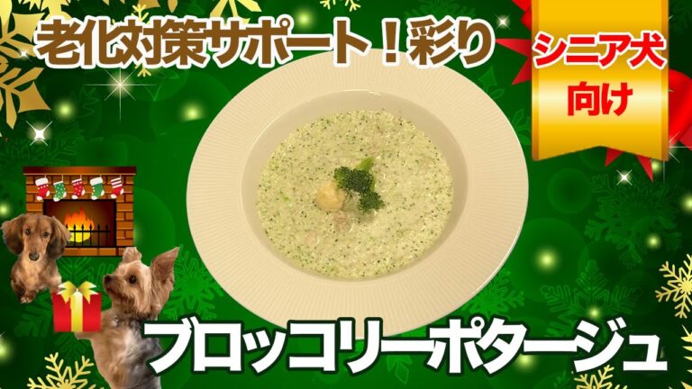 【愛犬手作りご飯】老化対策サポート！彩り「ブロッコリーポタージュ」