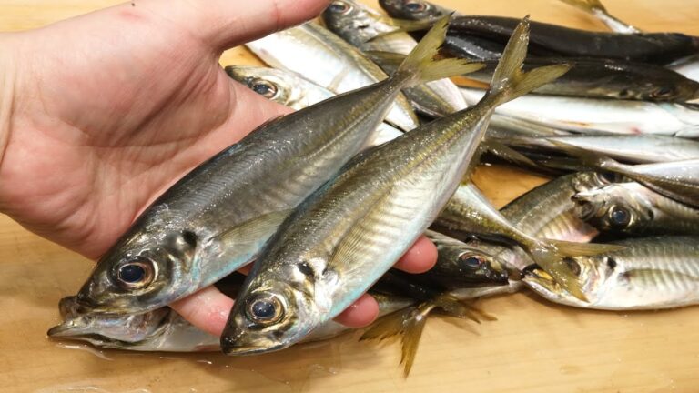 小アジの捌き方とオイルサーディン風の作り方