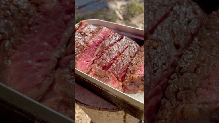 【絶品】キャンプで作るステーキ丼 #shorts #キャンプ飯 #ステーキ