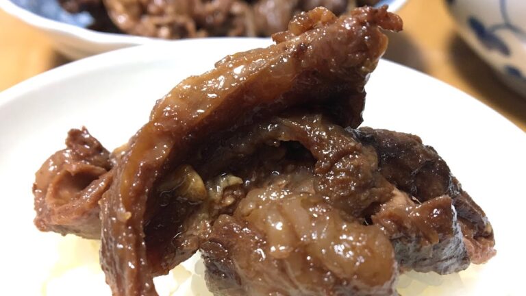 牛すじ煮込み Boil Downed Bovine Diaphragm