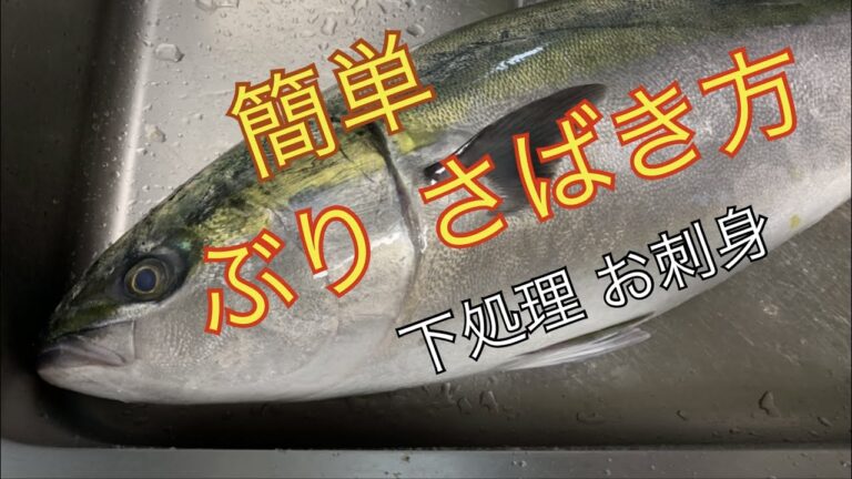 鰤のさばき方、柵取り、お刺身、盛り付け簡単説明！Simple explanation of how to judge bonito, sashimi, and presentation!