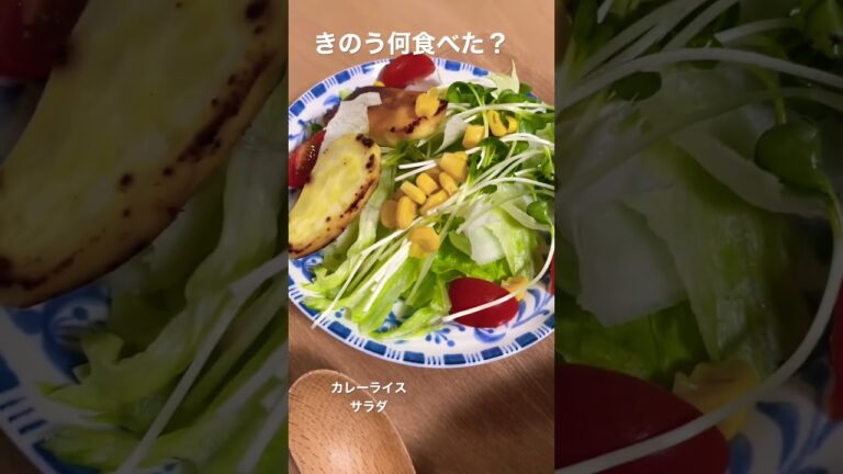 【食事記録】きのう何食べた？/カレーライス/サラダ/妊婦の食事記録
