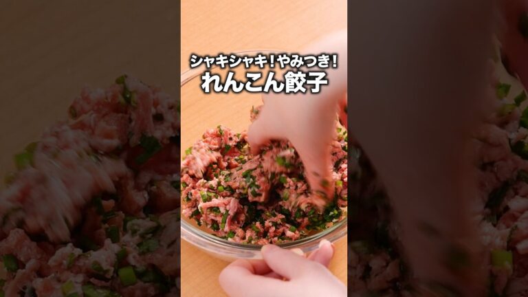 れんこんでひき肉包んだらうますぎた【れんこん餃子】詳しいレシピは概要欄をチェック！#レンコン #蓮根 #餃子 #簡単レシピ #晩ごはん#れんこん餃子#レシピ動画 #料理動画 #やみつき #おうちごはん