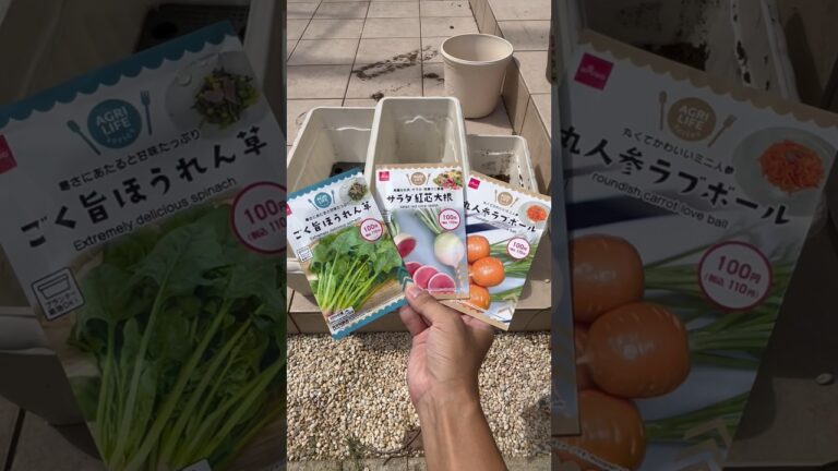 ダイソー出始める秋冬プランター栽培🥬 #家庭菜園 #youtubeshorts #ダイソー #秋冬野菜