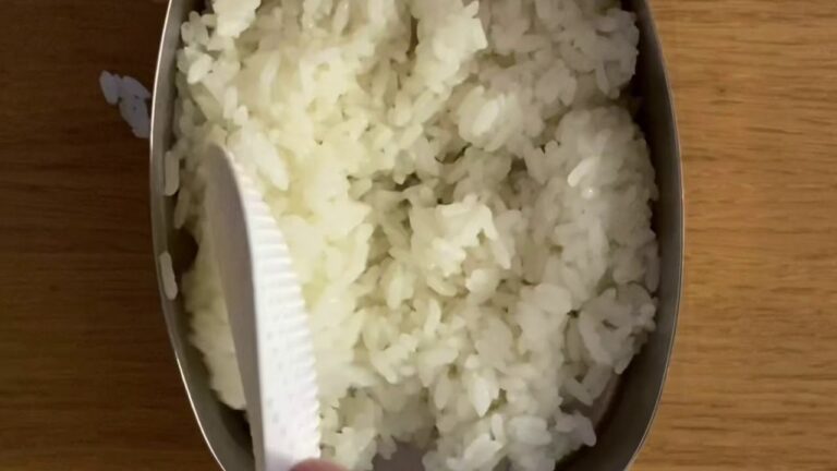『お弁当の詰め方』鶏の照り焼き弁当
