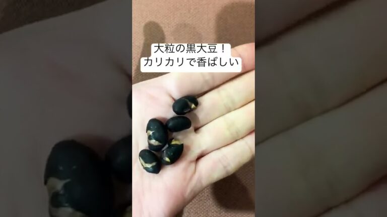 TOPVALU 素煎り黒大豆|香ばしくて美味しい！