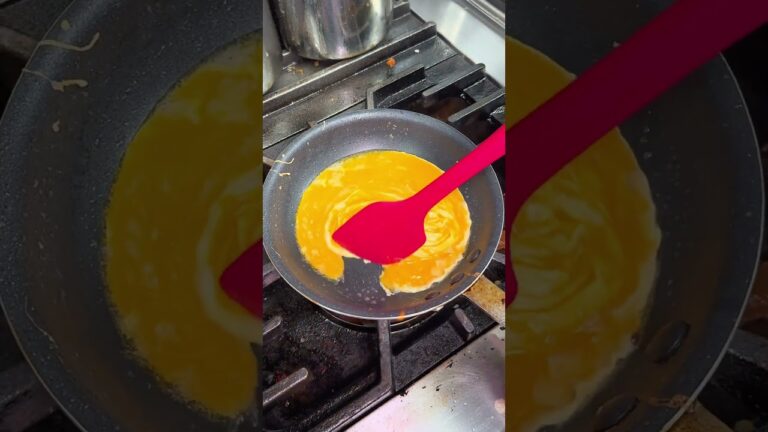 累計100万再生超えのドレスドオムライス(omelet rice) 【肉とたまご】