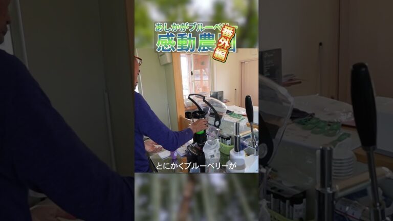 農園直送ブルーベリースムージーの作り方を大公開！