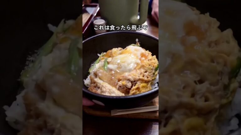 広島グルメ【老舗のかつ丼が最高すぎた！？】栄屋 #広島 #広島グルメ  #広島ランチ #japanesefood #shrots