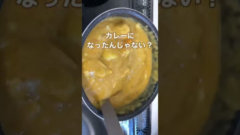 余ったシチューにカレー粉を入れてみたらバターチキンカレーになった#shorts