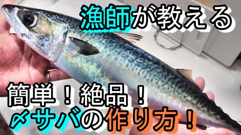 漁師が作る絶品〆サバ！鯖1匹で自宅で居酒屋気分を満喫！刺身より美味い！？