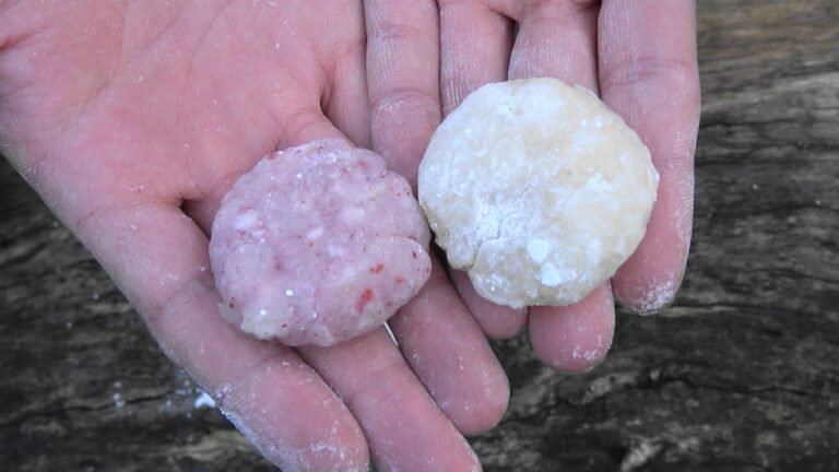 【自然を食べよう！】シイの実お汁粉と蒸し羊羹編　3/5