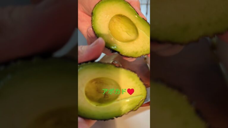 レタス　アボカド　人参サラダ