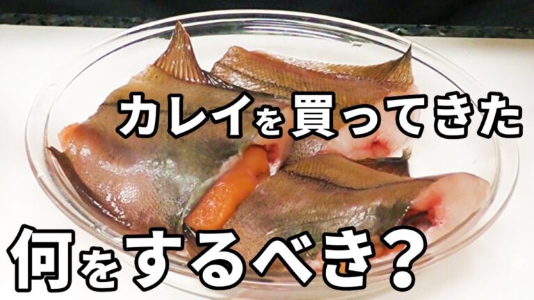 カレイの下準備・下処理のポイントを解説！煮つけの成功・失敗を大きく左右します！