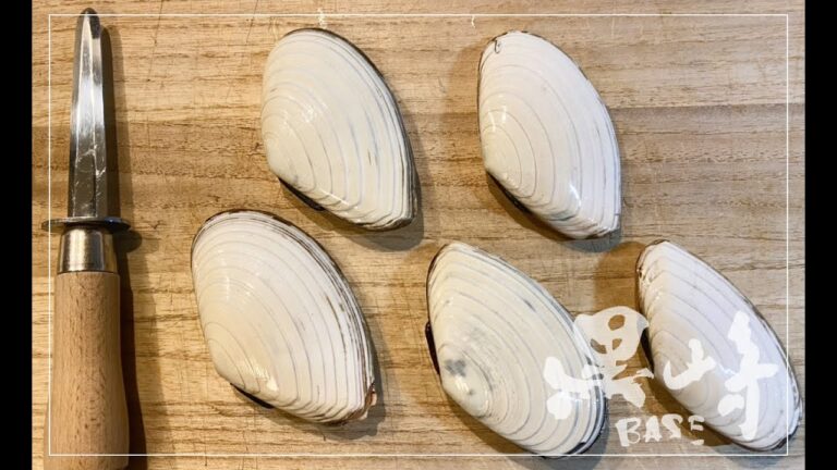 白貝（皿貝・万寿貝）を捌いてグリルにする 【白貝の捌き方】