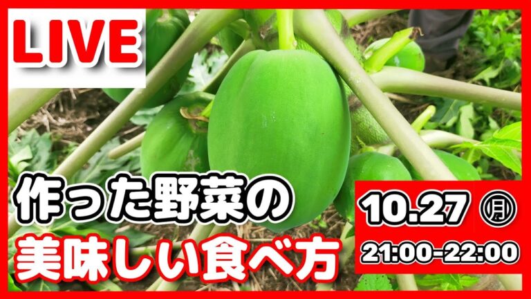 作った野菜の美味しい食べ方