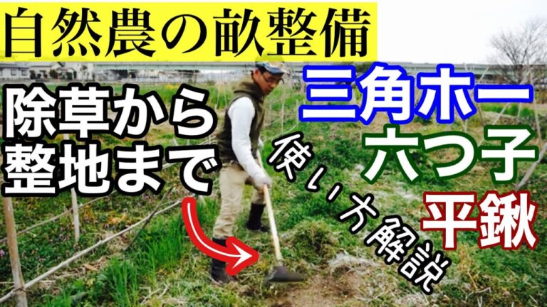 種まき前に三角ホーと平鍬で自然農･不耕起畝の手入れ補修【農具の使い方】2022年3月13日