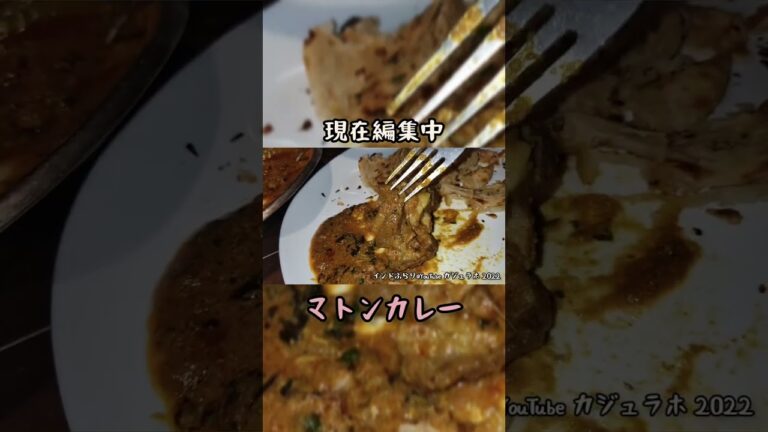 2022年インド ヤギカレー・マトンカレーと北インドの渦巻きパラタ、ラチャパラタ 【現在編集中】 #インド旅行 #インド #マトンカレー #山羊料理