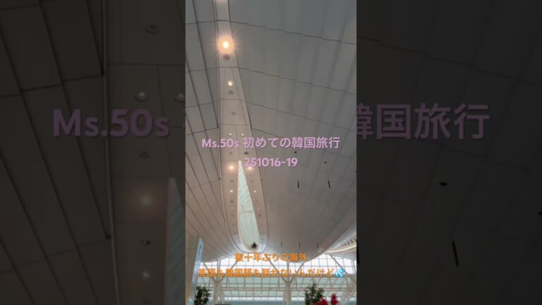 50代・数十年ぶり海外韓国「金魚のフン」旅でも覚悟を決めて行ってきた 1  #海外旅行 #韓国 #ソウル