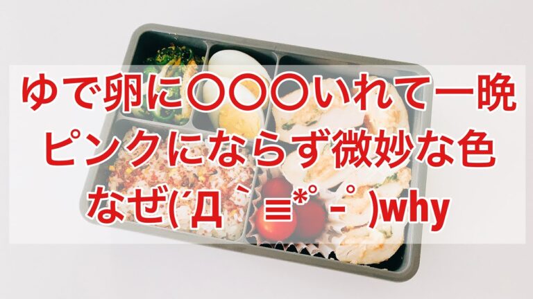 《娘ちゃん弁当》塩麹むね肉大葉明太子チーズはさみ焼き編