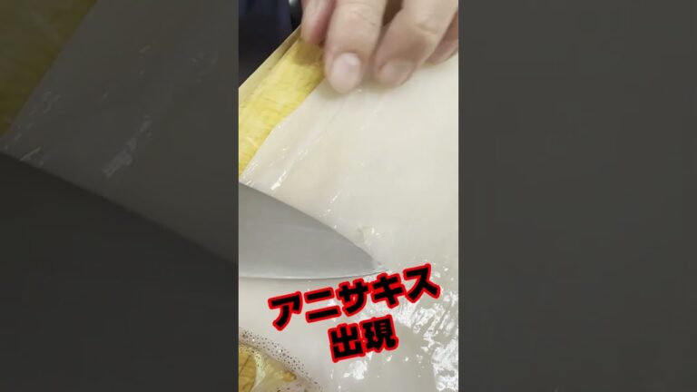 アニサキスの見つけ方  #short