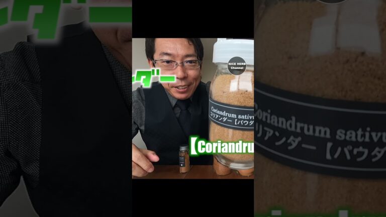 絶品スパイスカレー〜ガラムマサラ編〜 #shorts